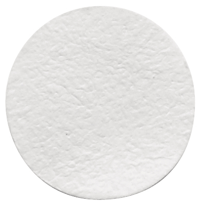 Filtro de Fibra de Borosilicato, 70 mm, 2.7 µm, 100 unidades