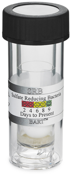 Sistema BART para Presencia-Ausencia de Bacterias